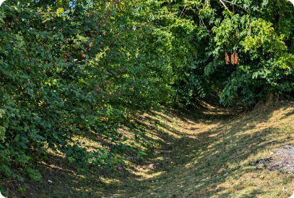 man_cutting_grass_with_lawn_mover_back_yard_3